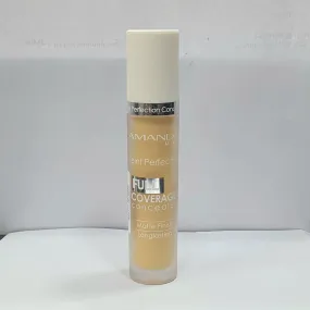 Amanda teint perfection concealer full coverage 06 yollow